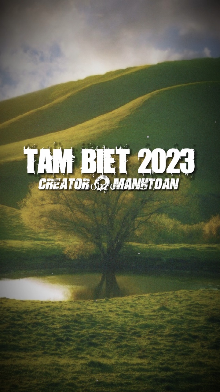 T m Bi t 2023🍂