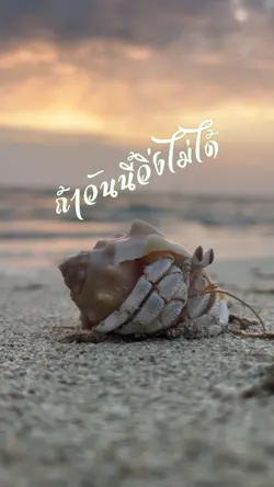 วิ่งไม่ได้ก็เดิน