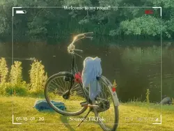 ✩ camera / film ✩