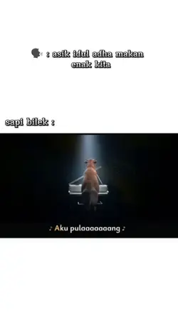 sapi bilek