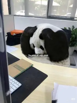 Có lẽ bây giờ ta phả