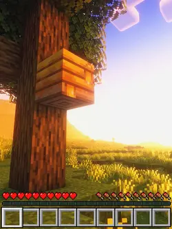 Minecraft x car edit