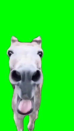 Protesting Donkey