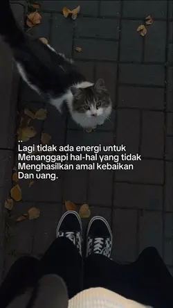 STATUS WA