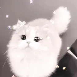 Iโm not cute anymore