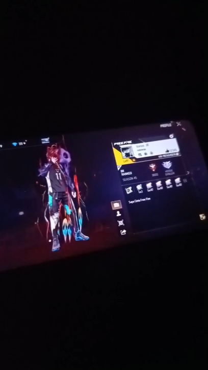 Cover Picture
