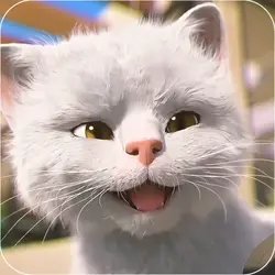 cute cat slowmo