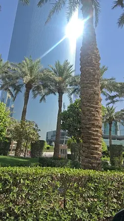 Mast Saz Aw Template