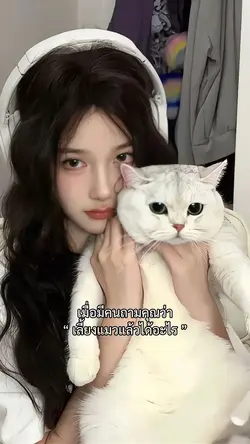 เลี้ยงแมวแล้วได้อะไร