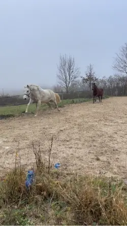 C’est gratuit🤗🤓