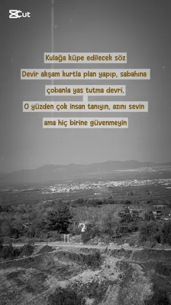 Harika şablon 