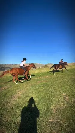 gallop 1 clip slomo🤪