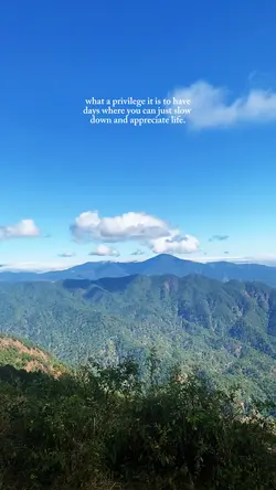 pause. breathe. 🧘‍♀️🍃