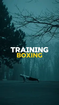 Training Boxing