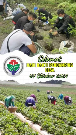 Hari Pendamping Desa