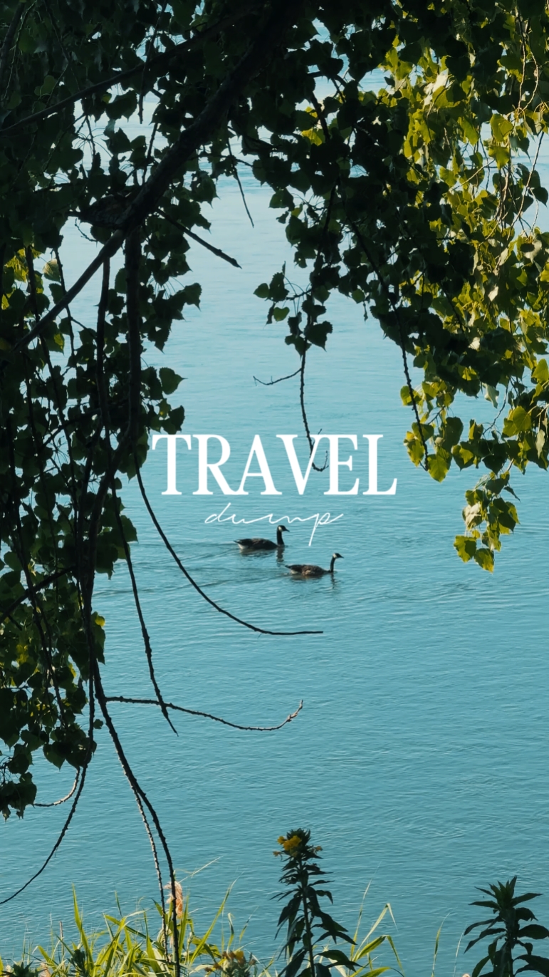 Travel Dump