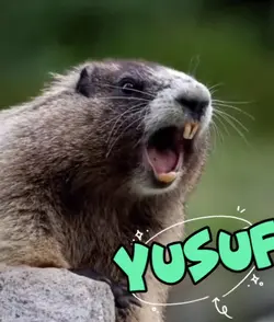 YUSUF
