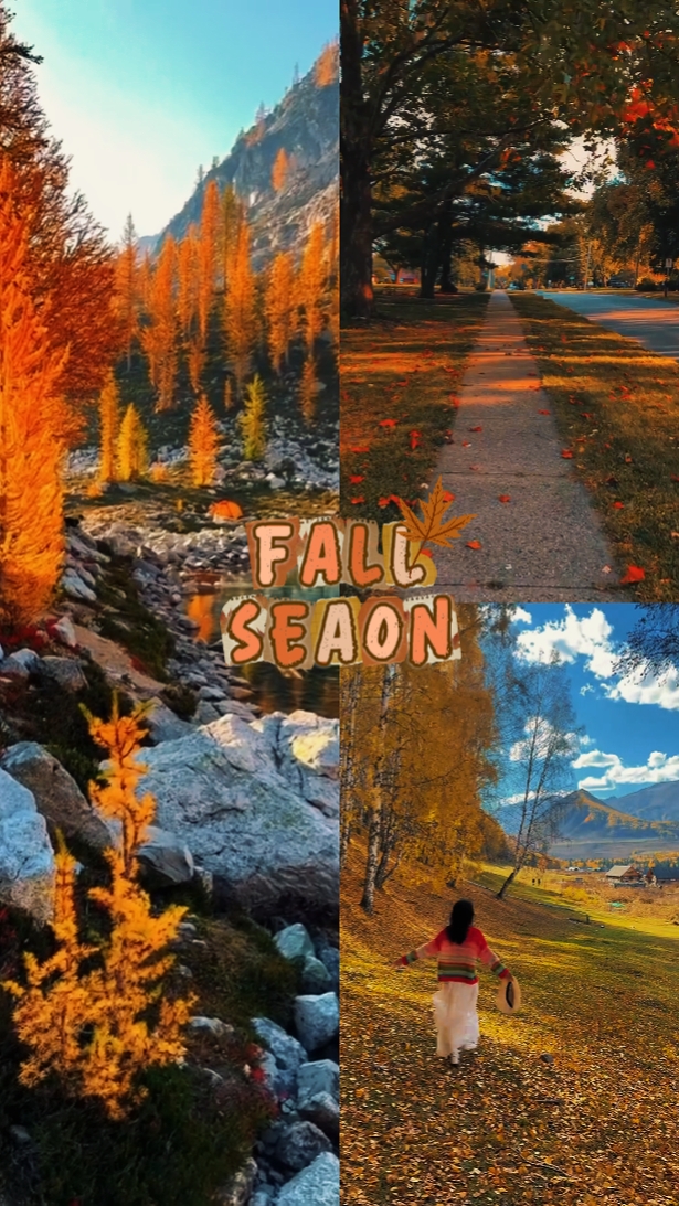 Fall Season