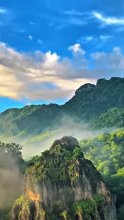 Reggae jepang • HD