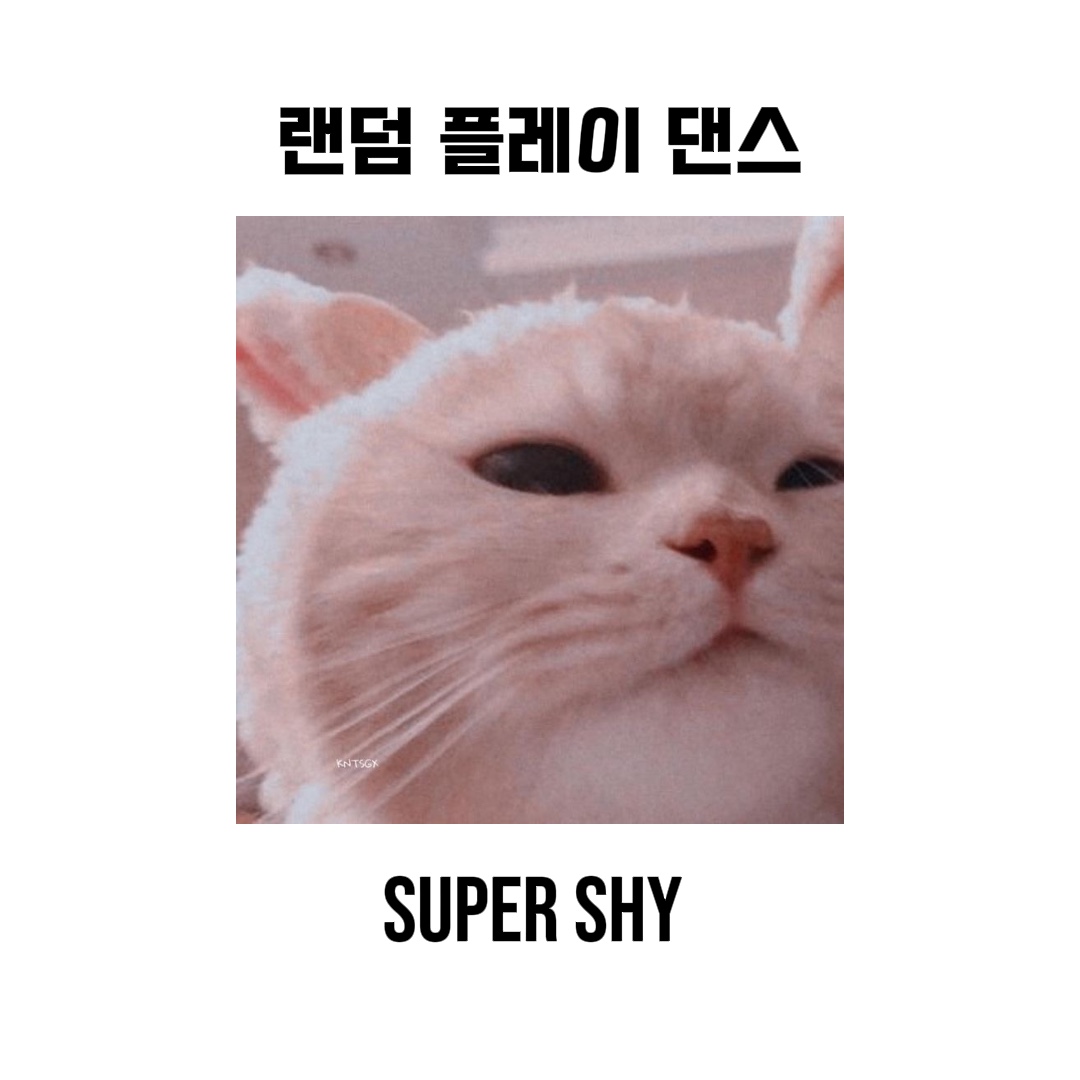 랜덤 플레이 댄스