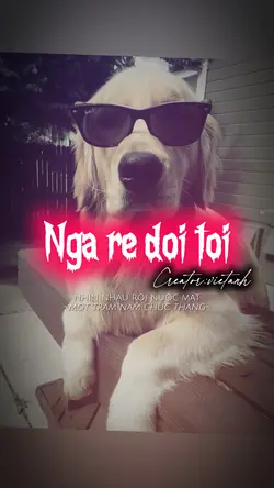 NGÃ RẼ ĐỜI TÔI