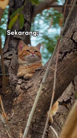 Dulu dan Sekarang