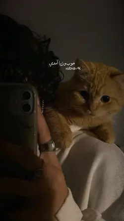 من گذشتم از خودم..🫠🖇️