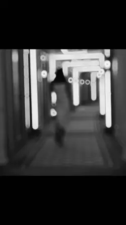Viral 