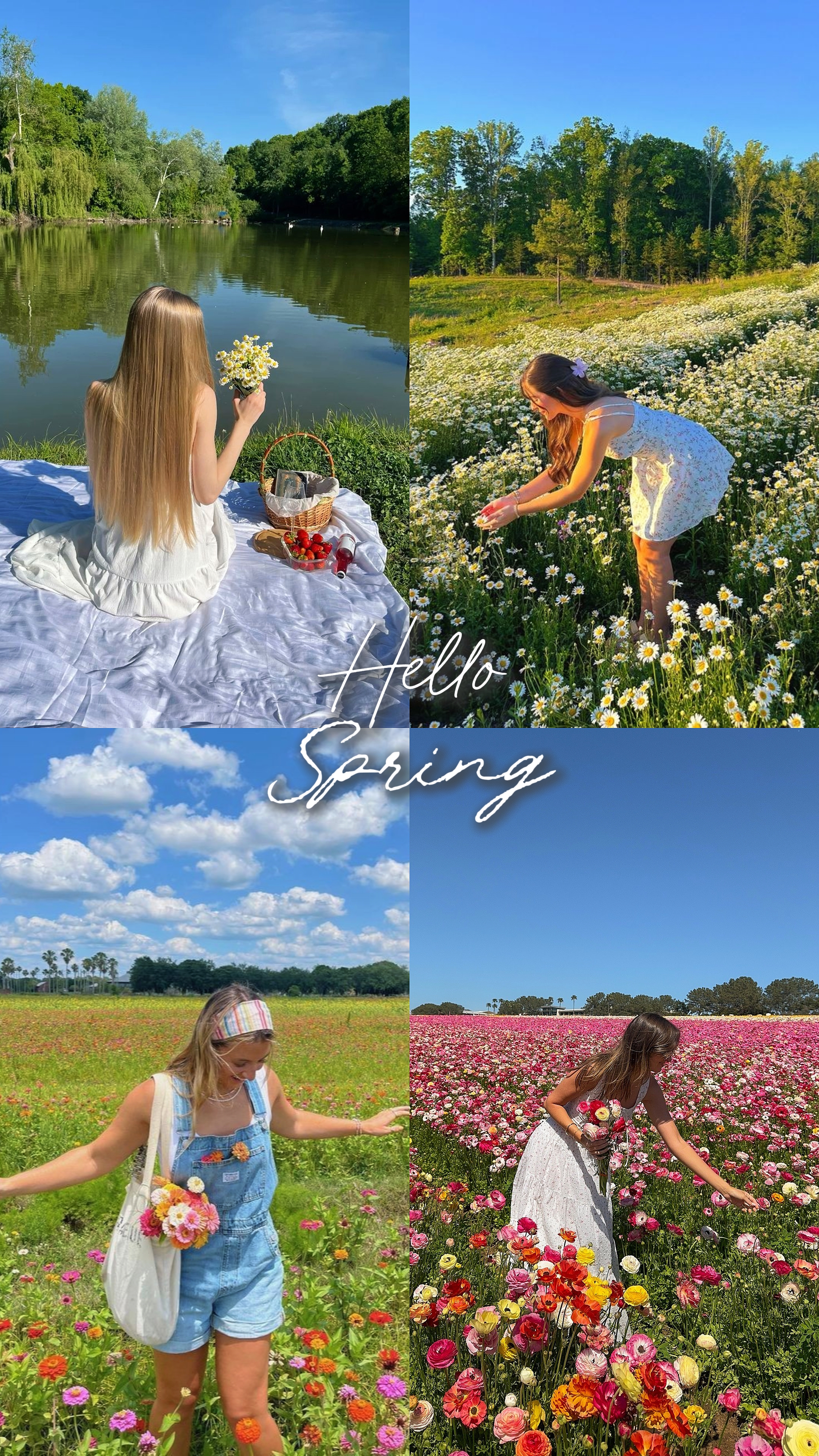Hola primavera