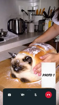 CUTE CAT BREAD
