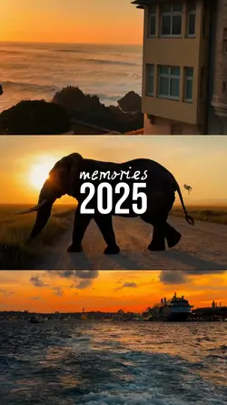 memories 2025