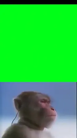 monke listening to 🎵
