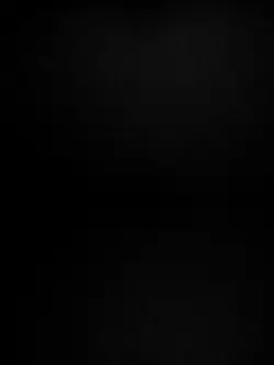 Happy Rakshabandhan💫