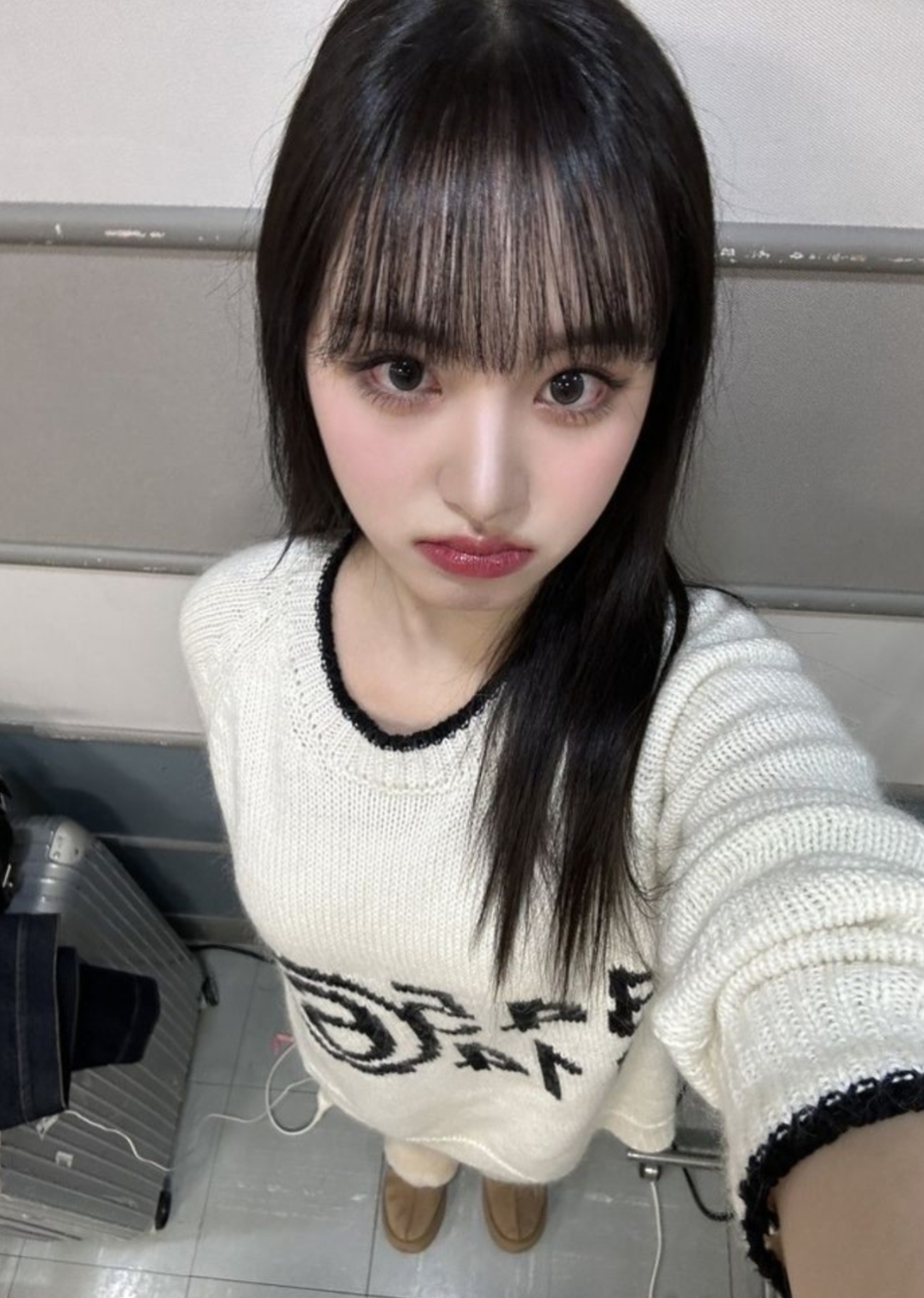 내가 토끼가 된다면?