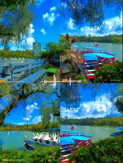 4 pic