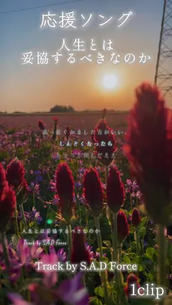 人生とは妥協するべきなのか