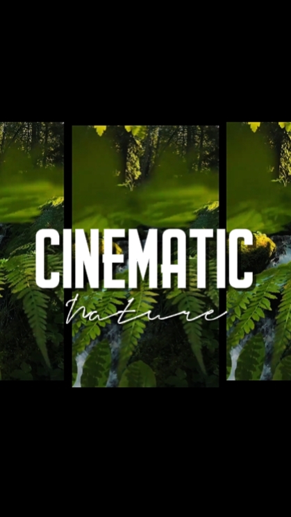 CINEMATIC NATURE 