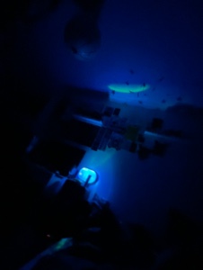 i love it <3