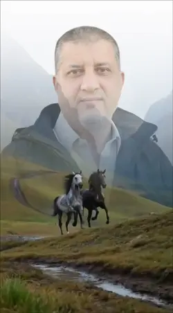 Mountains view
