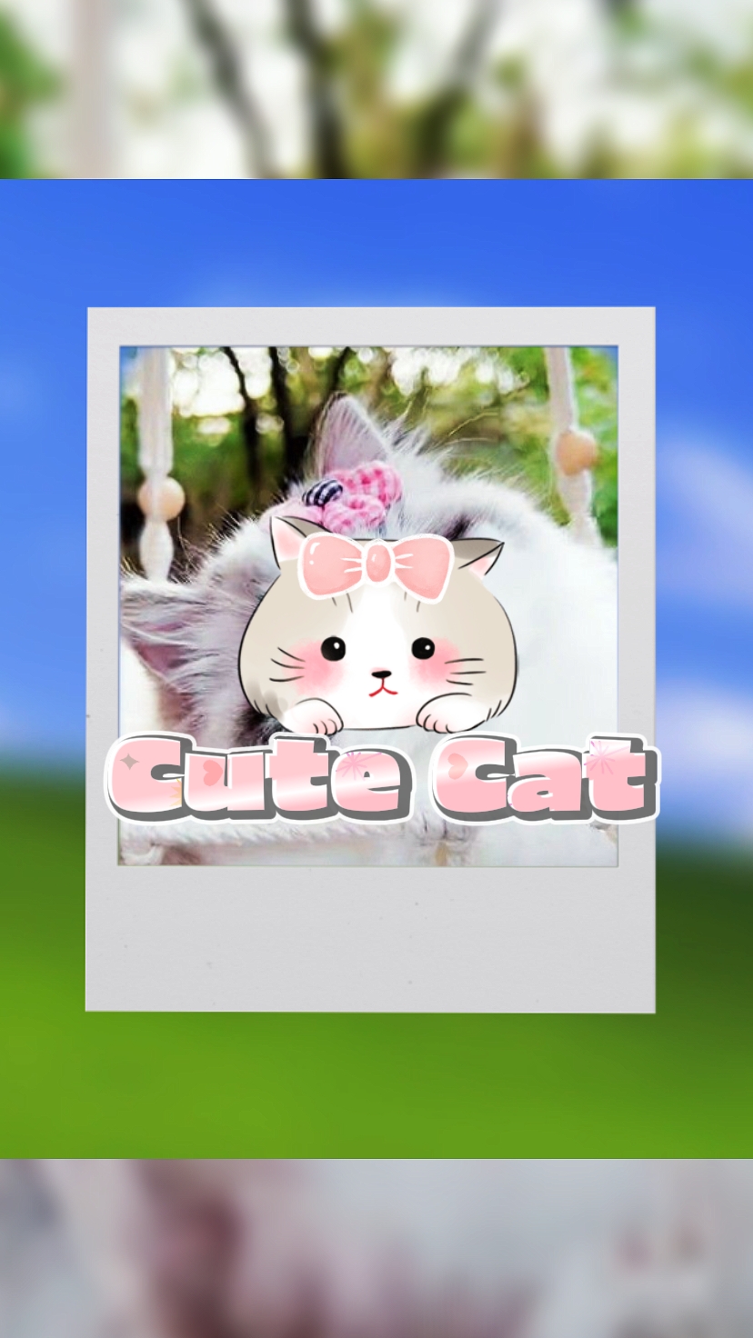 猫可爱 