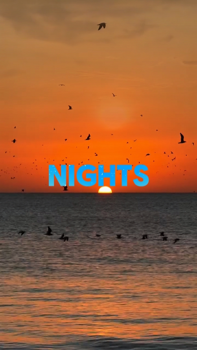 THE NIGHTS | AVICII