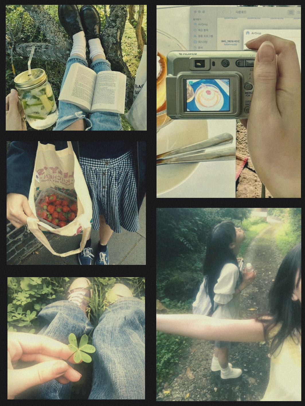 Cover Picture