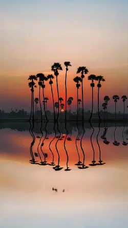 Sunset Glow