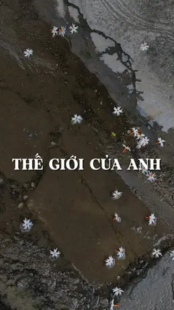 thế giới của anh