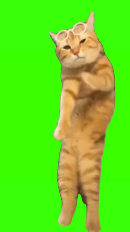 쿠싱 조겟