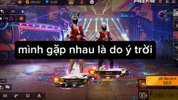 Mẫu 1 ảnh FF