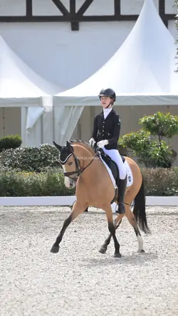DRESSAGE 4K SLOWMO