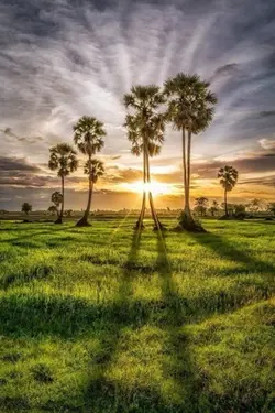 ខ្ញុំបែកគ្នាហើយ💔🙇