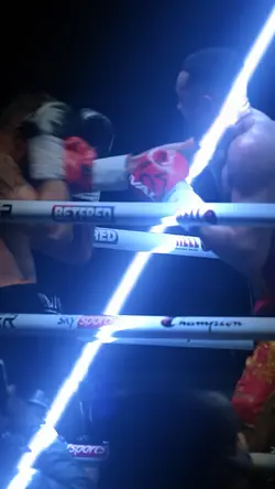 Sport Boxing 