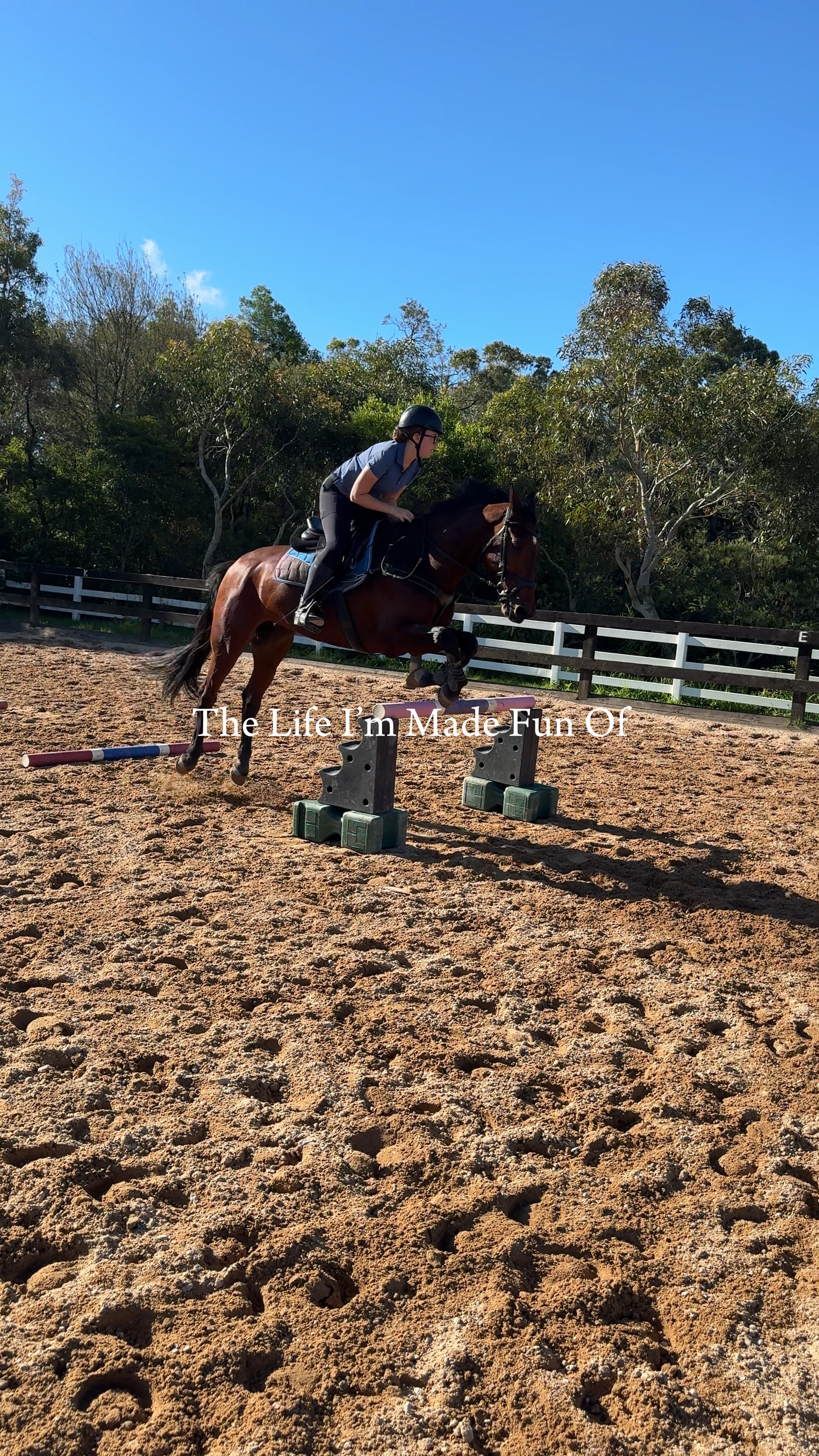 🐎🐎